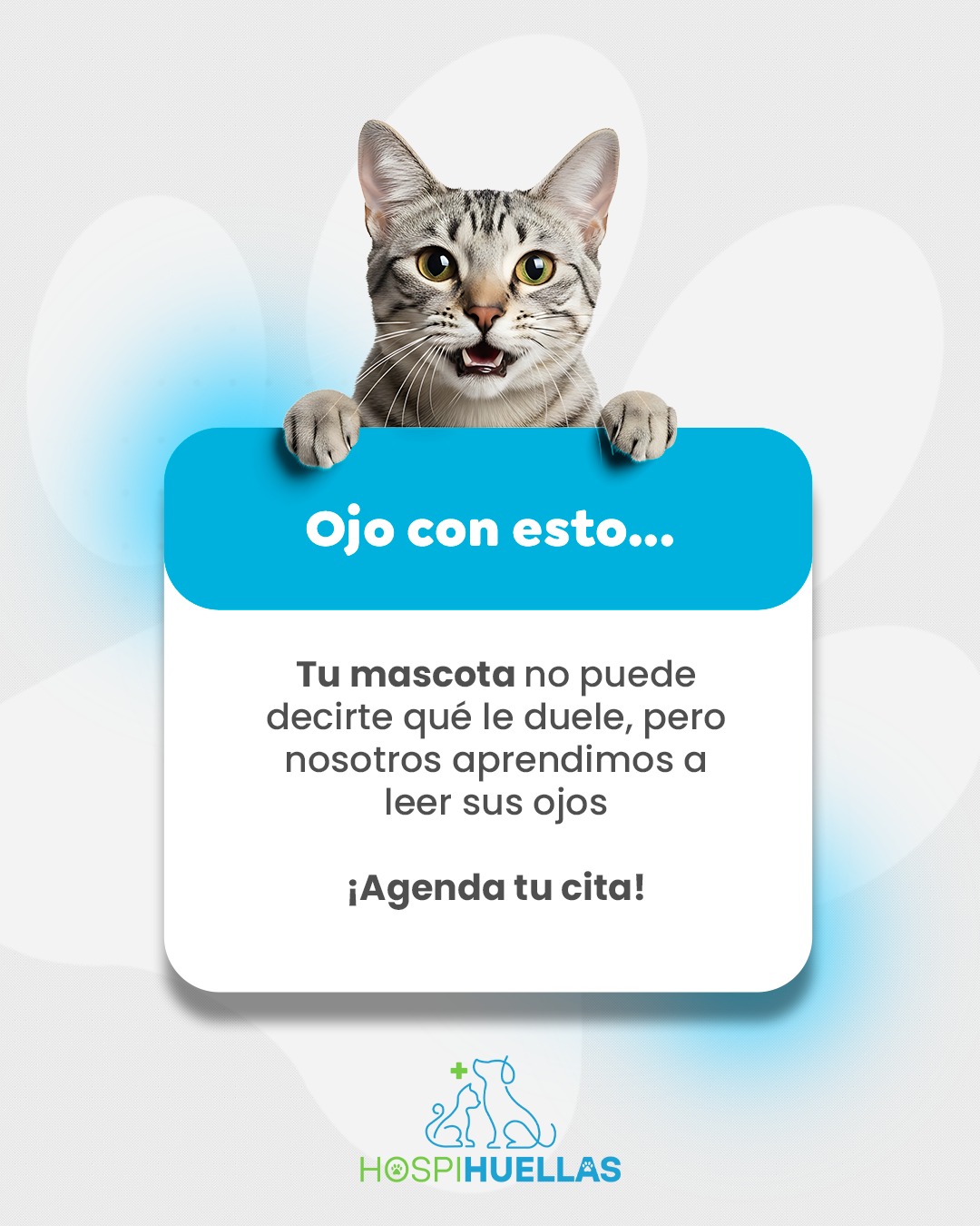 Corte de uñas en perros